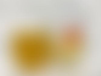 【六甲ビール 醇蜜りんごALE🍎🍺】