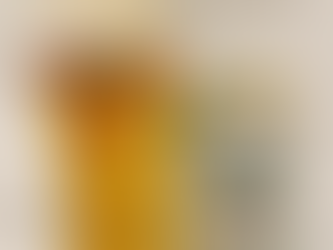 【SUNTORY ザ・プレミアムモルツ ジャパニーズエール<シーサイドエール>】