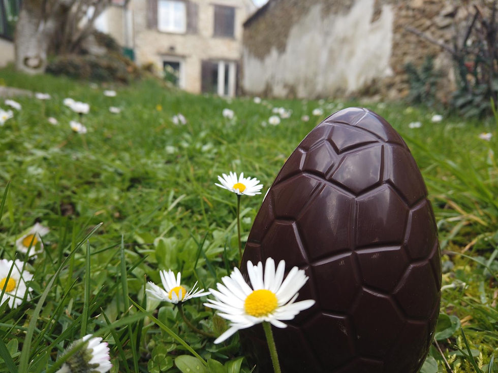 Œuf de Pâques noir garnis de friture noir