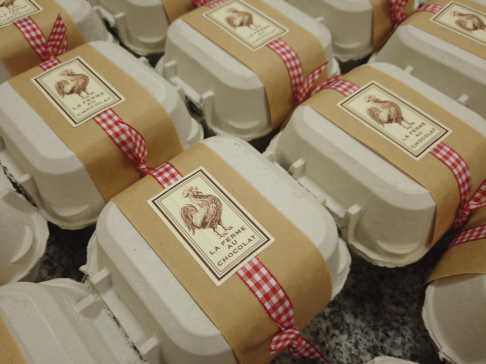 Boîte de 4 œufs dans leur coquille chemisée de chocolat