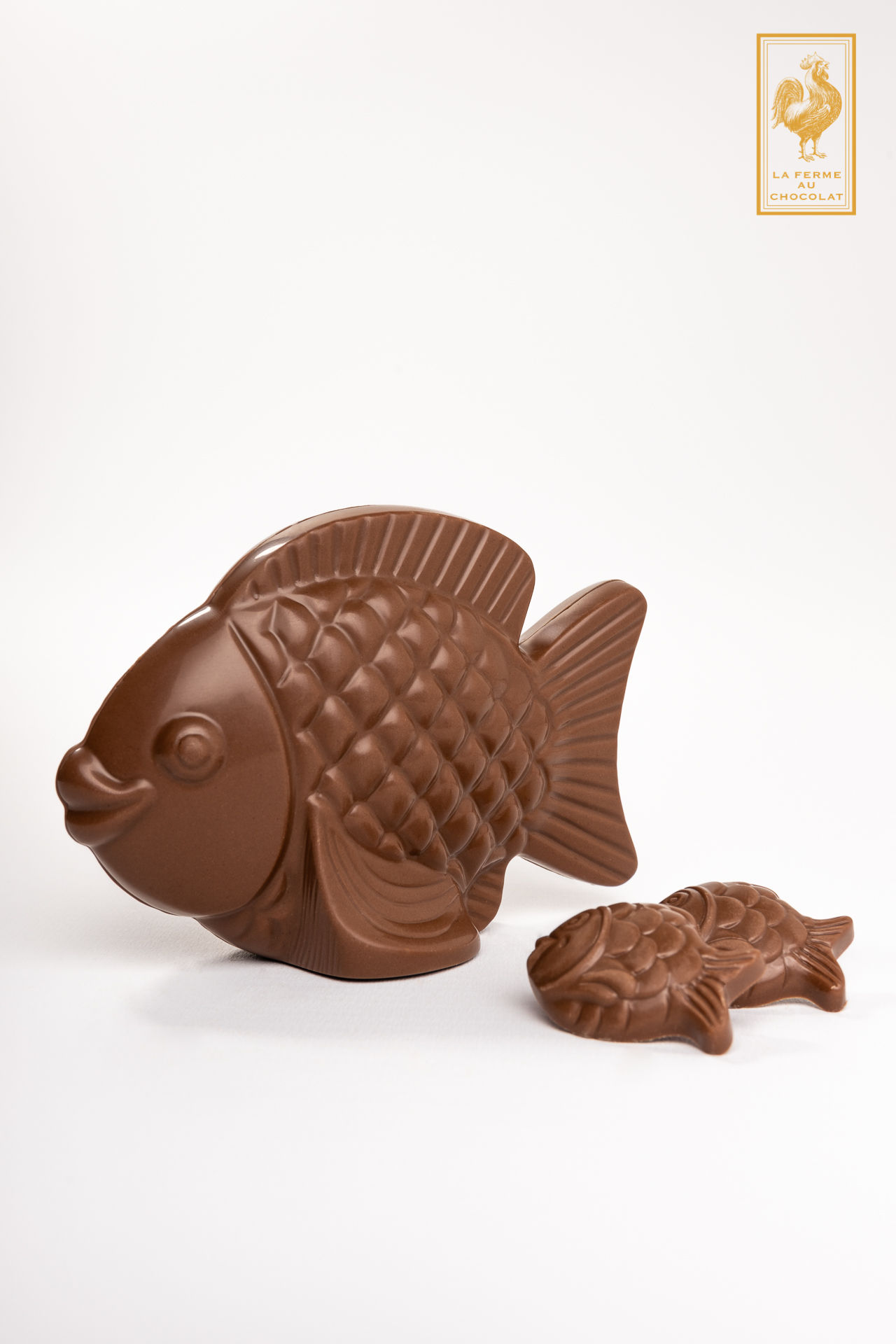 Poisson lait garnis de friture lait 33%