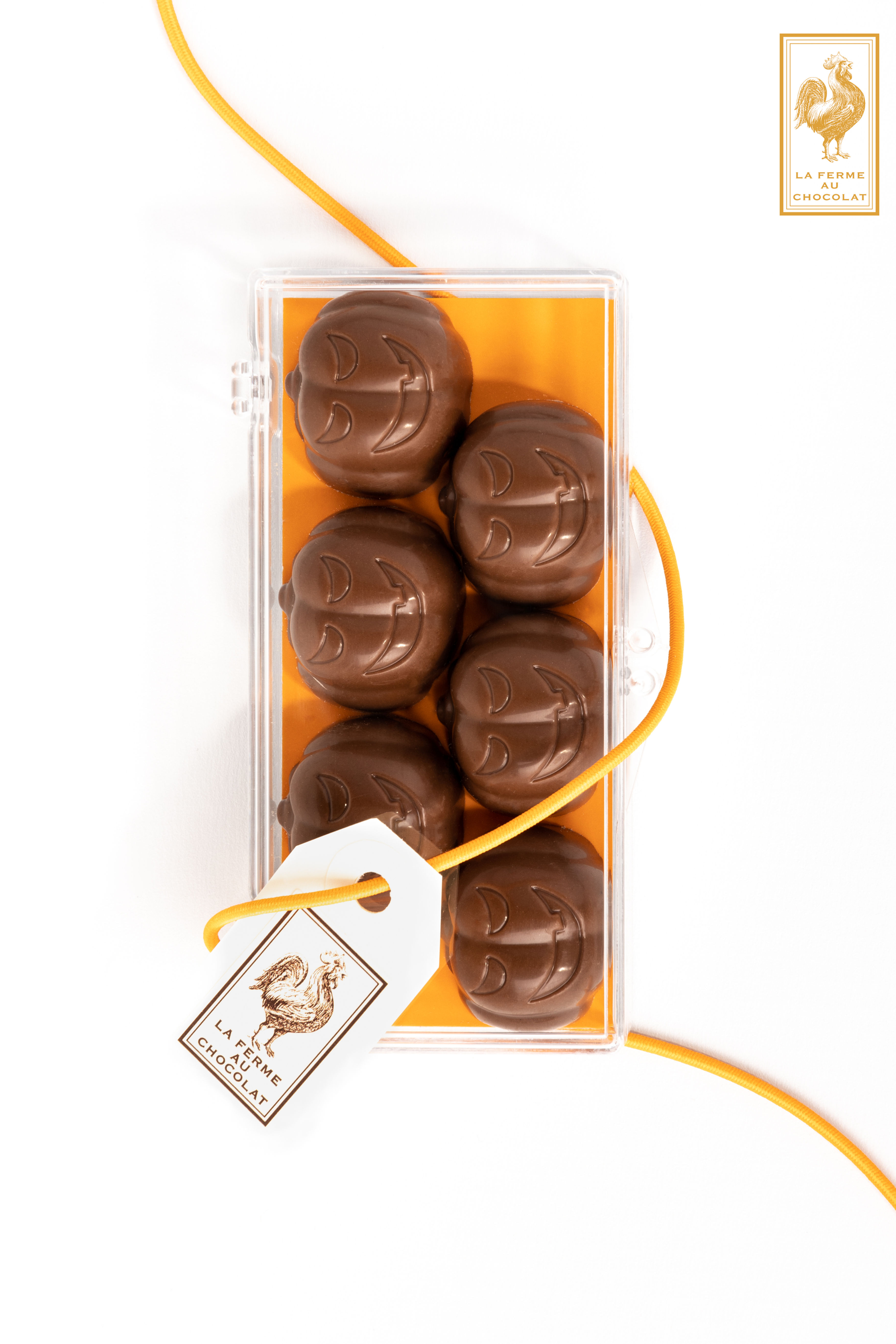 Boite de 6 citrouilles lait 33%