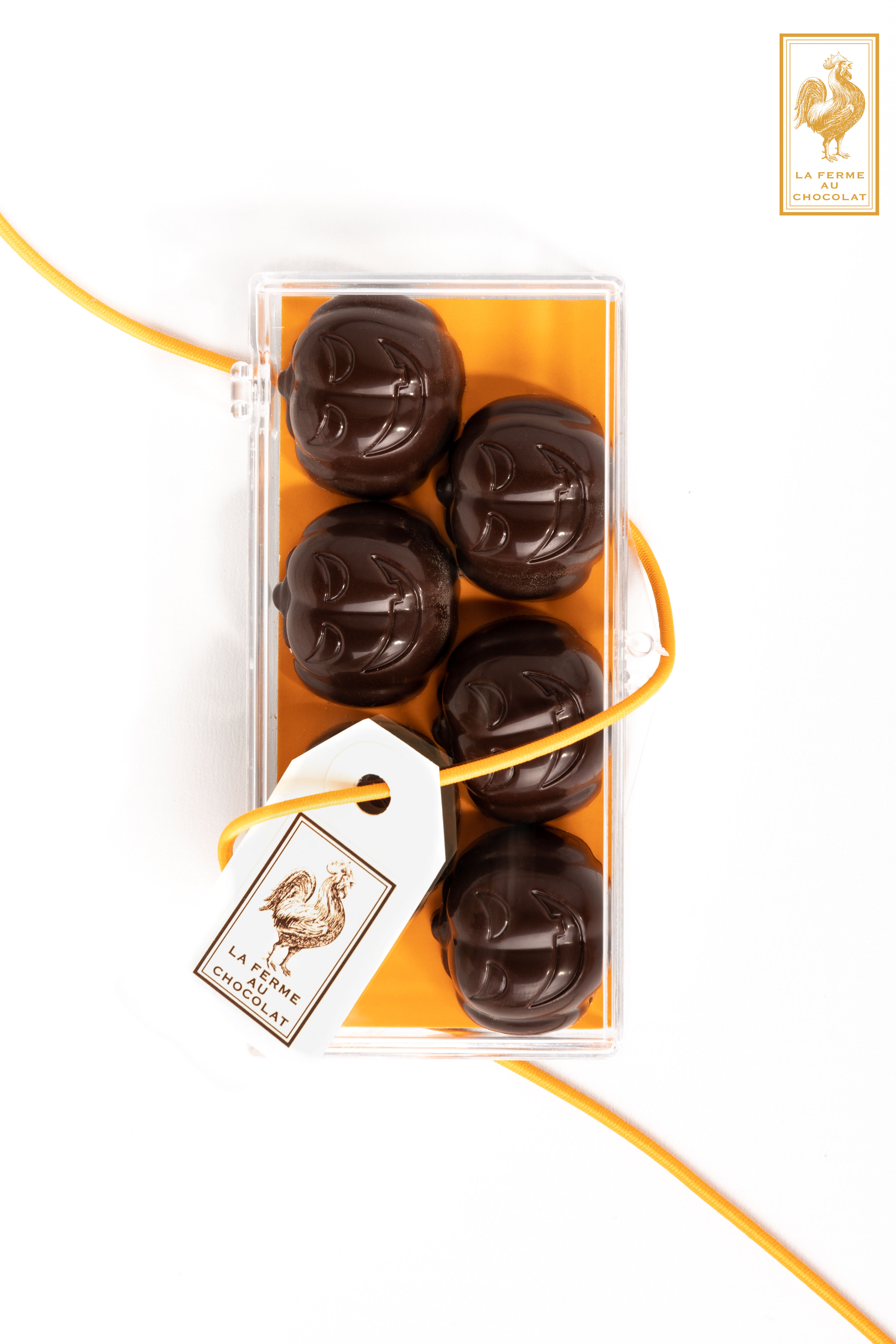 Boite de 6 citrouilles PRALINE noir 63%