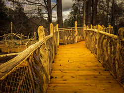 unique playground walkway