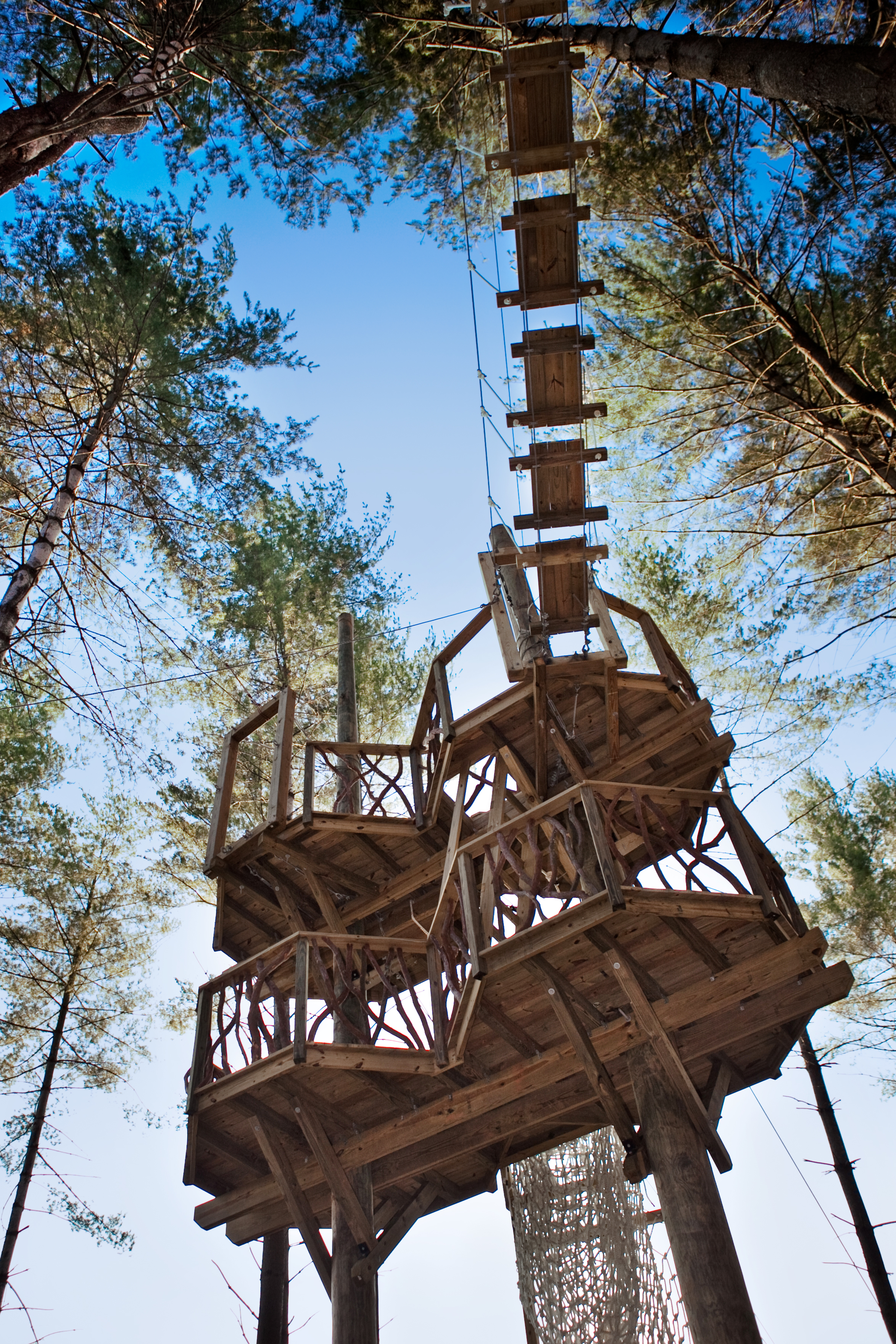 To the brevity of a tree house