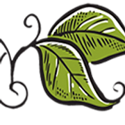 beanstalkziplines logo