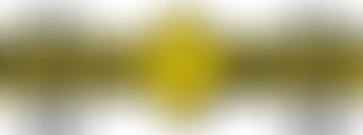 Working Safely on Tile and Slate Roofs