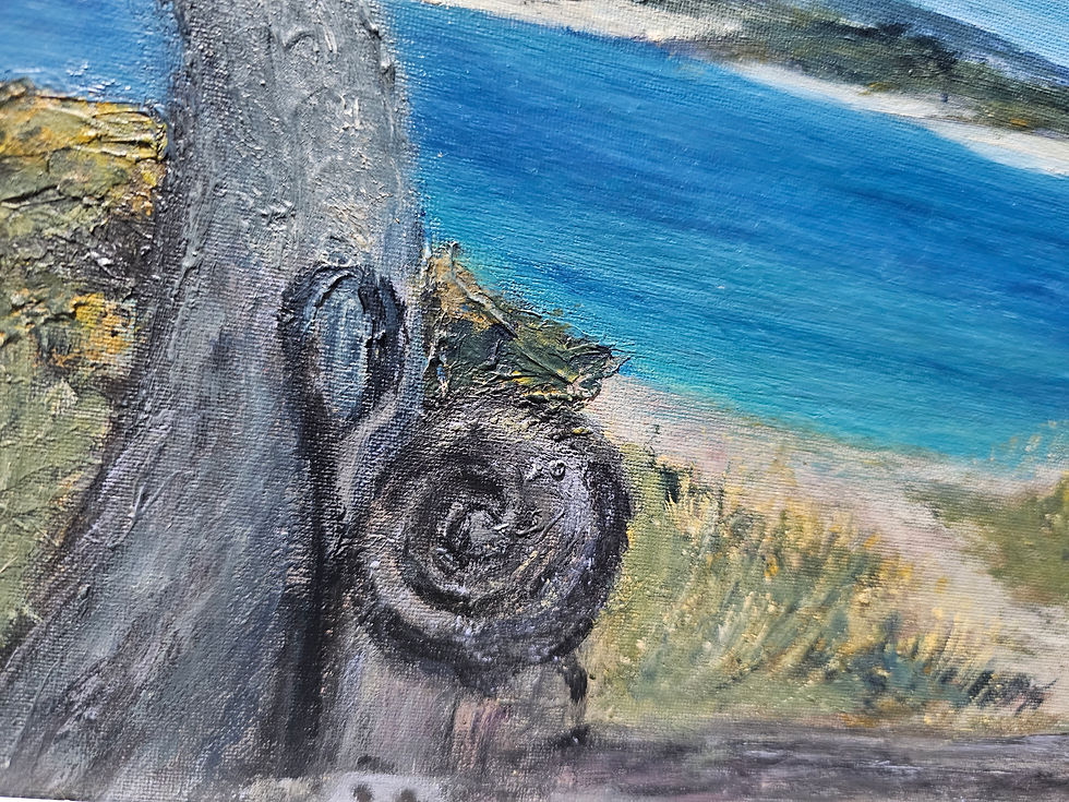 Thumbnail: Walking Llanddwyn