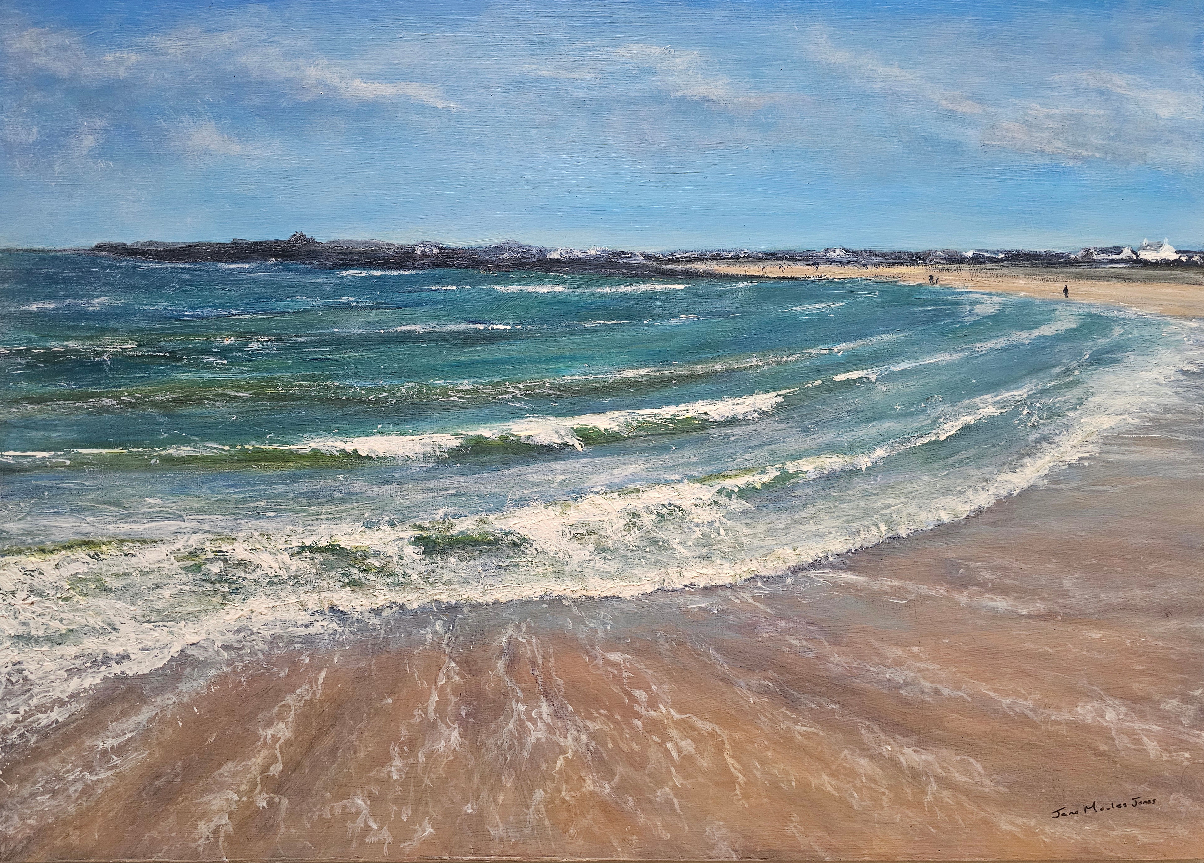 Shoreline, Trearddur bay