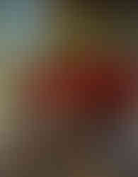 梶光夫「ターキッシュアンゴラ」6P