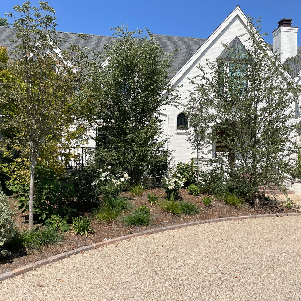 DeWilde Residence