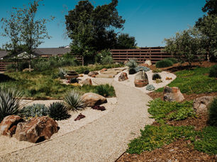 A xeriscaped garden featuring a winding gravel path, drought-tolerant plants, and ornamental grasses designed for water conservation