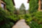 Green July 2018-17.jpg