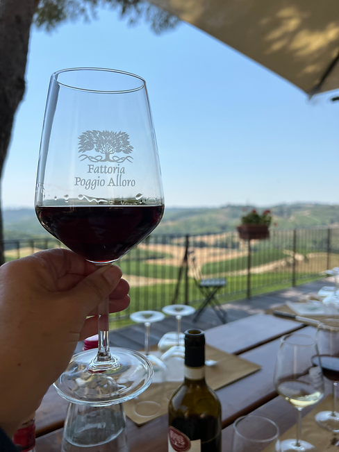 Tuscany wine tasting, Adventures by Disney