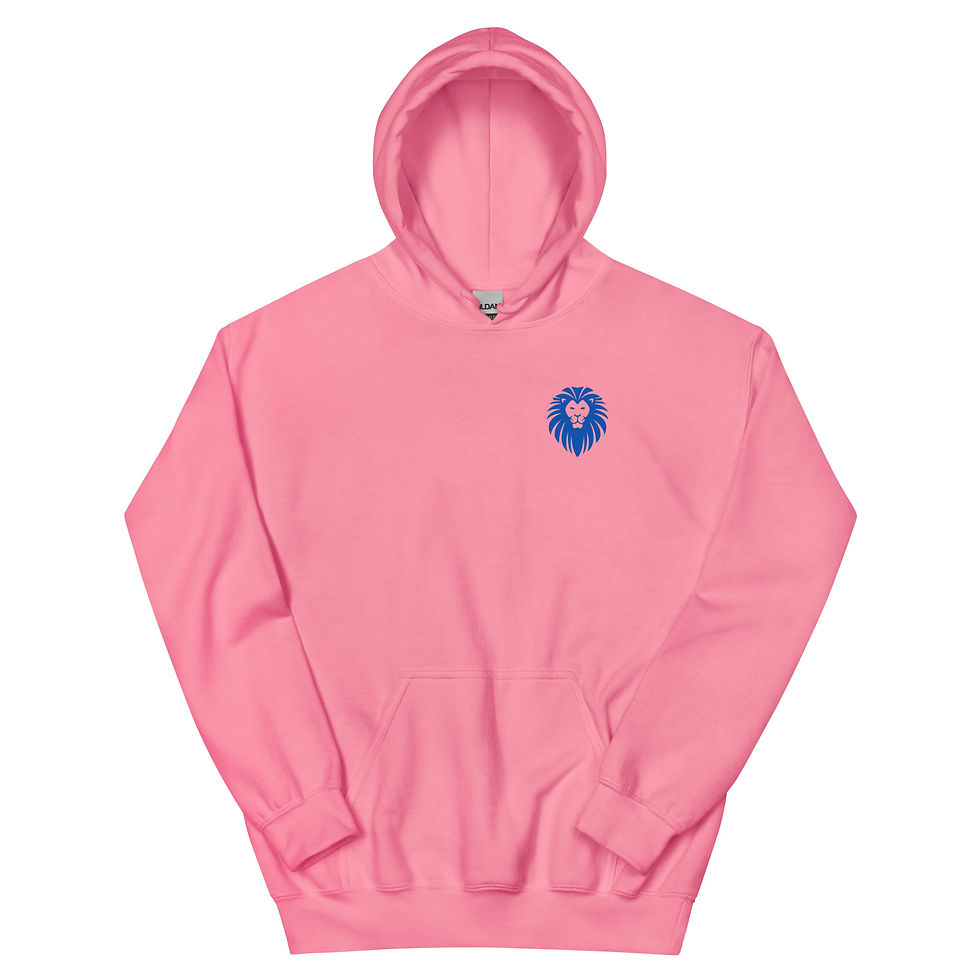 थंबनेल: NVR Hoodie
