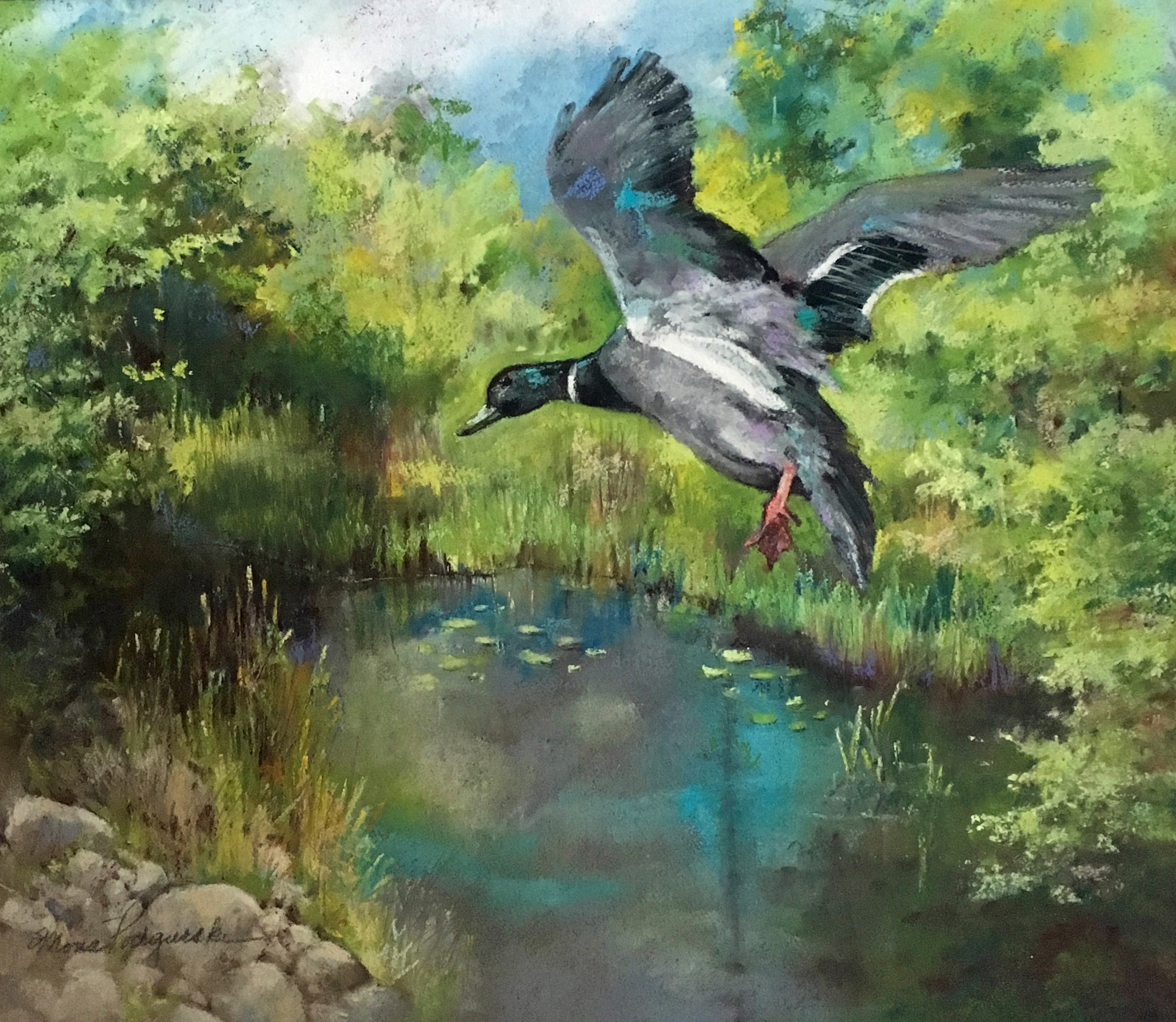 Mallard Down