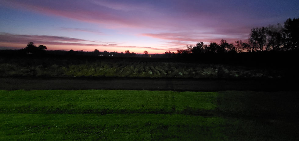 Resized_20211014_064519.jpeg