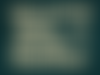 How to Inspire Loyalty Through Truth and Transparency