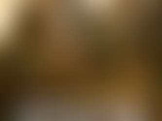 Veterans in Action: Teaching, Leading, Reforming