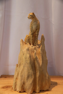 Cheetah On Termite Mound