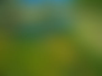 Kayaking on the Gacka River in Lika, Croatia — active group experience surrounded by pristine nature and crystal-clear waters.