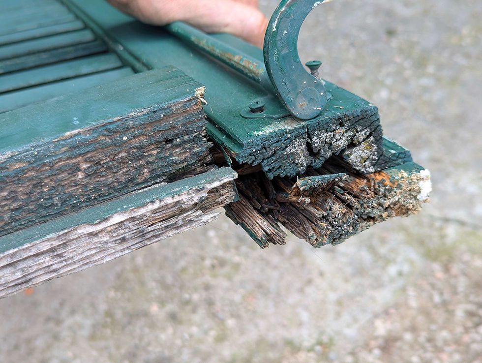 PXL_20250827_100318172