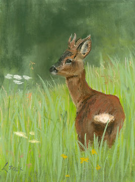 Fairy in the Meadow an original pastel painting