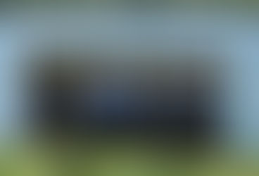 ATTIVITA' DEL COMITATO TILT SVOLTA NELLA PRIMAVERA 2025 PRESSO L'OASI RENATA FONTE DI VIZZOLO PREDABISSI