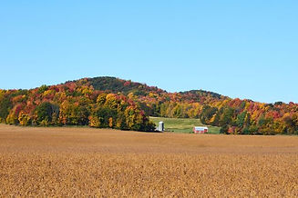 Farm in Fall .jpg