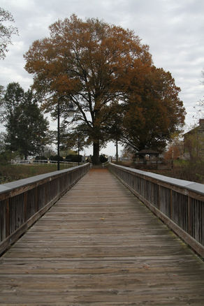 Photo Excursion to Perryville,Md