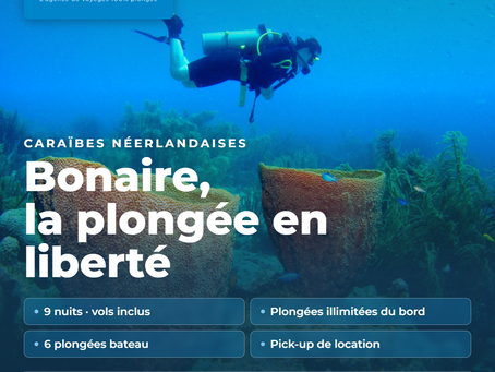 Bonaire Voyage en mars 2027 Tarif et Descriptif