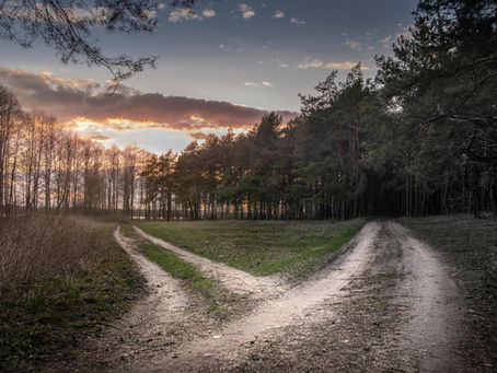 Diverging walking paths in a countryside landscape