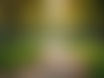 Menopoz Döneminde Fiziksel Aktivitenin Önemi