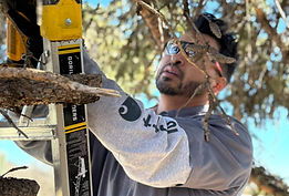 Junk Removal Santa Fe Easy Load NM Demolition Service Near Me Tree Trimming