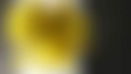 【3月7日・8日ミモザ無料配布のお知らせ】（新森本店・京橋店共通）