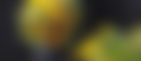 【2024 Summerセールのお知らせ】(新森本店)