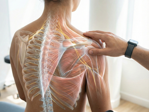 THE FOUNDATION OF STRENGTH: How SteadyPace™ HIIT Transforms Structural Health