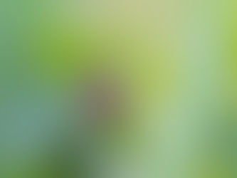 Disulfiram: A Surprising Ally in the Fight Against Chronic Lyme Disease