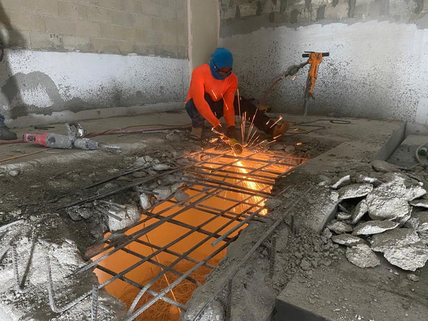 Renovación de propiedad1