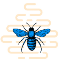 Blue Bee Bankruptcy