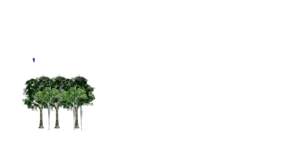 volume-água.gif
