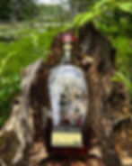 Elijah Craig Barrel Proof Batch B523