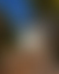 Hatozaki Small Batch Whisky Review: The Art of Japanese Malt Whisky Blending