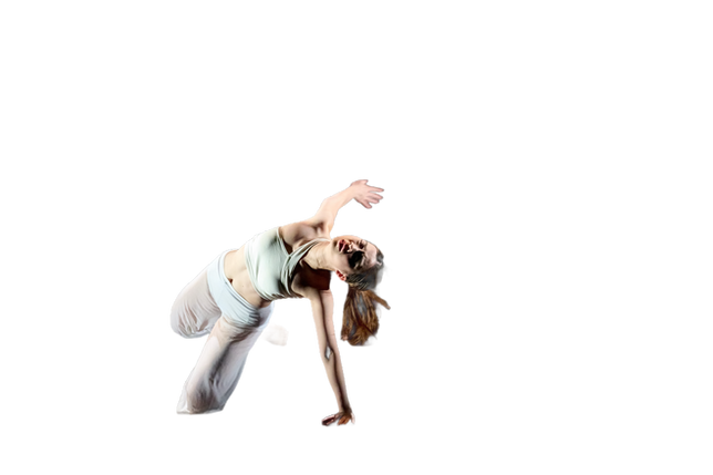 DaisyContemp.PNG