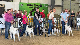 Fair Season is Just Around the Corner