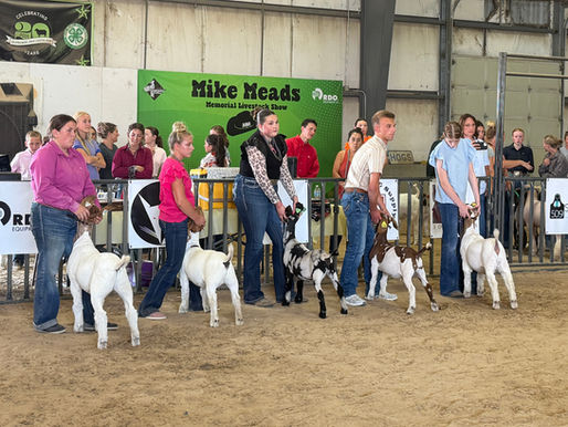 Fair Season is Just Around the Corner