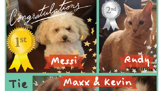 Announcing our Furry Friends of Franklin 2024 winner!