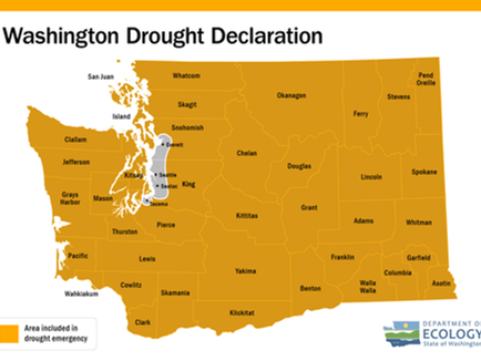 State-wide Drought Declaration brings concerns for ag growing, fire seasons
