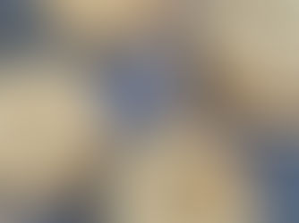 Easy Butterscotch Coconut Cookie Recipe (Soft & Chewy!)