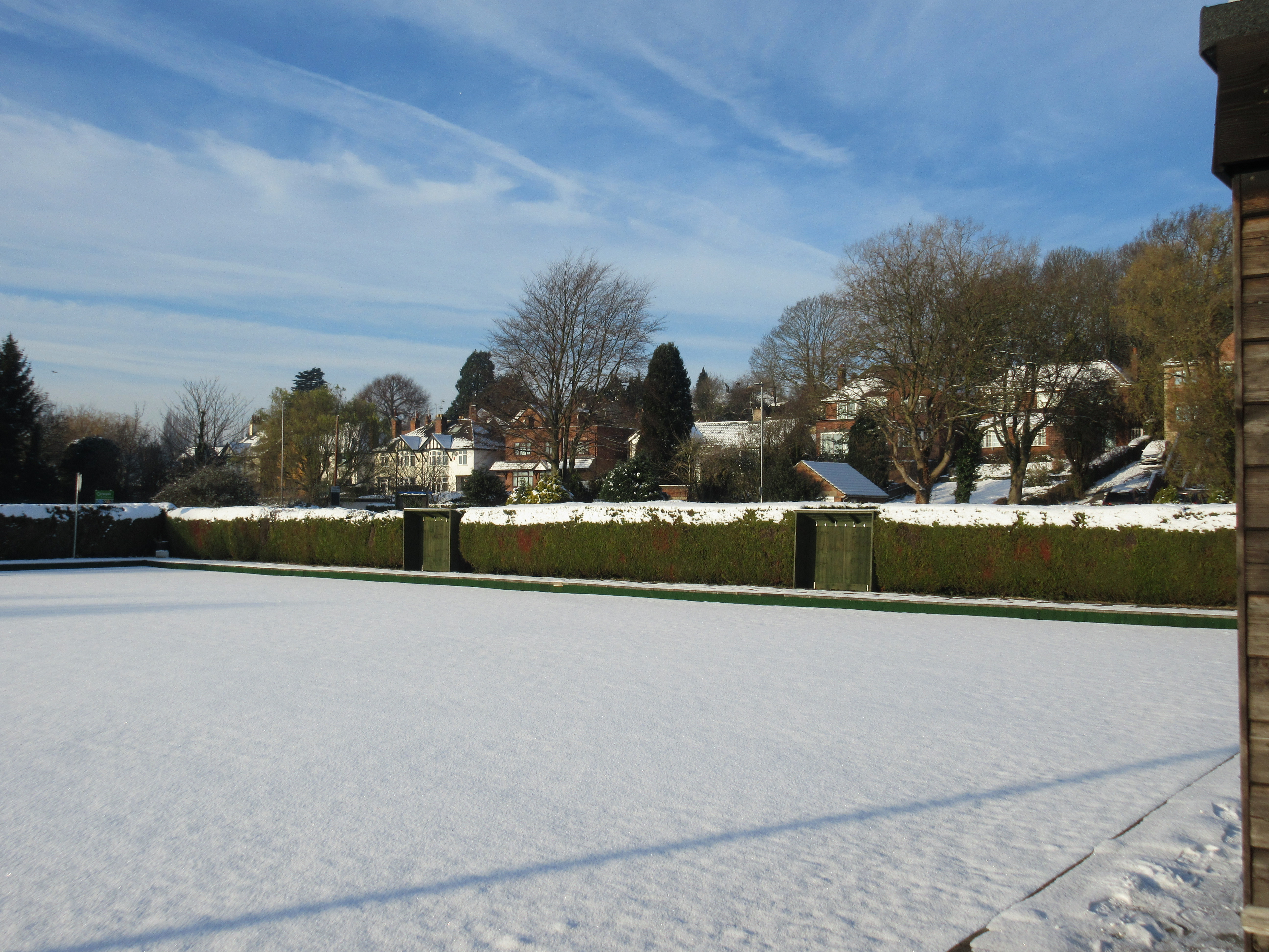 Snowy Scene